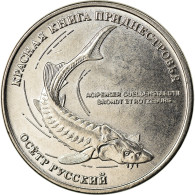 Monnaie, Transnistrie, Rouble, 2018, Esturgeon, SPL, Copper-nickel - Moldova