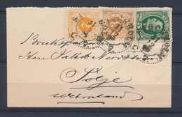 1899 Env. SUEDE Combinaison TRICOLORE N°29-30-41 Obl STOCKOLM. Sup. X1029 - Covers & Documents