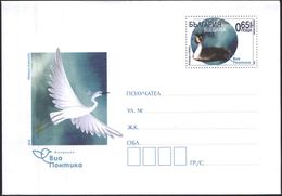 Cover With Printed Stamp Fauna BIrds Via Pontica 2019 From Bulgaria - Briefe U. Dokumente