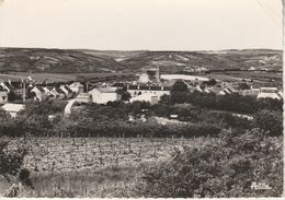 89 - COULANGES LA VINEUSE - Vue Générale - Coulanges La Vineuse