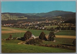 Delcampe - Hinterzarten - Ortsansicht 12 - Hinterzarten