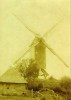 HOOGSTADE - Alveringem (W.Vl.) - Molen/moulin - (retro) Prentkaart Van De Lindemolen Met Rosmolen Omstreeks 1910. TOP! - Alveringem