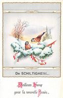 SCHILTIGHEIM (67-Bas-Rhin) Meilleurs Voeux Pour La Nouvelle Année - Petits Oiseaux- OISEAU - FANTAISIE -  2 SCANS - Schiltigheim