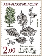 Flore Et Faune De France. Arbres Ulmus Montana.  2f. Multicolore Y2385 - Unused Stamps