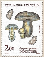 Flore Et Faune De France. Champignons. Indigotier (Gyroporus Cyanescens) 2f. Bleu, Jaune Et Brun Y2488 - Ongebruikt