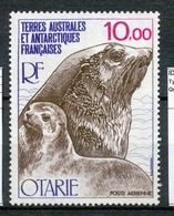 T.A.A.F Aérien 1977 N°48 Faune. Otarie N** ZT162A - Corréo Aéreo