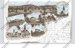 0-6550 SCHLEIZ, Lithographie 1898, 8 Ansichten - Schleiz