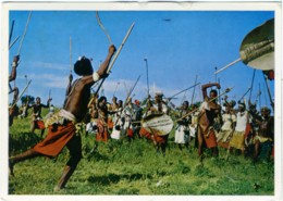 SWAZILAND  Swazi Warriors In A Tipical War Dance - Swaziland