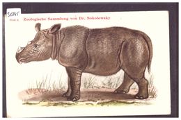 SUMATRA NASHORN - ZOOLOGISCHE SAMMLUNG VON Dr SOKOLOWSKY - TB - Rhinocéros