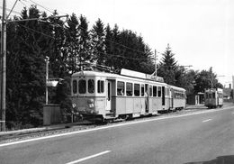 BVA -  Transports Publics Lausannois (TL T.L.) BFZ 4/4 191 "La Broye" Train Pour Mézières Navette Savigny Marin - Jorat-Mézières