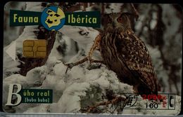 SPAIN 1996 PHONECARD OWLS USED VF!! - Hiboux & Chouettes