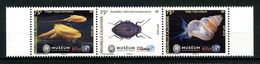 Nlle Calédonie 2018 N° 1341/1343 ** Neufs MNH Superbes Faune Coquillage Shells Triops Scarabée Tuba Musée Planète - Unused Stamps