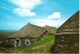 O Cebreiro (Lugo), Poblado Prehistórico CP - Lugo