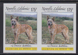 NEW CALEDONIA (1992) Australian Bouvier. Imperforate Pair. Scott No C229, Yvert No PA288. - Sin Dentar, Pruebas De Impresión Y Variedades