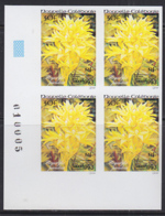 NEW CALEDONIA (1993) Megastylus Paradoxa. Imperforate Corner Block Of 4. Scott No C250, Yvert No PA304. - Sin Dentar, Pruebas De Impresión Y Variedades