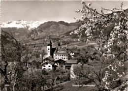 Scharans (Domleschg) (3060) * 7. 4. 1952 (a) - Domleschg