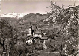 Scharans (Domleschg) (3060) * 7. 4. 1952 (b) - Domleschg