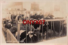 Carte Postale Photo Militaire Allemand BERLIN (Deutschland-Allemagne) Grüne Woche 1935 -Foire Marché VACHE - Other & Unclassified