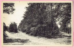 Kasterlee - Boschweg (Goor) - 1955 - Kasterlee