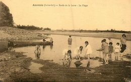 Ancenis * Bords De La Loire * La Plage * Enfants Baigneurs - Ancenis