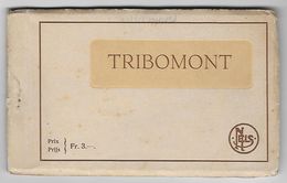 Carnet Tribomont, 13 CPA - Herve