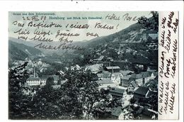 CPA-Carte Postale-Germany-Hornberg Mit Blick In's Gutachtal-1909- VM18280 - Hornberg