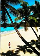 Seychelles Mahe Beach View At Bay Intendance - Seychelles