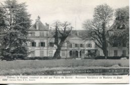 N°1579 R -cpsm Château De Coppet - Coppet