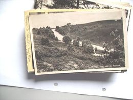 Nederland Holland Pays Bas Rheden Bij Arnhem Posbank Panorama - Rheden