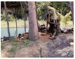 (A 33) Fiji - Traditional Men Near Coconut Tree,  In Cultural Center - Fidschi