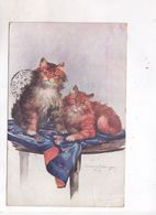 CPA  CHATS TORTOISHELL BRANGE KITTENS Par Ophelie Bilinge En 1916! - Cats