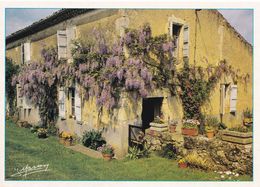 VIEILLE MAISON TYPIQUE DE GASCOGNE (dil459) - Languedoc-Roussillon