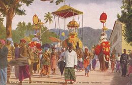 The Procession Of The Holy Relic Of The Tooth Ceylon. The Kandy Perahera Elephant  Edit Platé . Hand Colored - Sri Lanka (Ceylon)