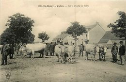 Culan * Sur Le Champ De Foire * Foire Aux Boeufs Aux Bestiaux ? - Culan