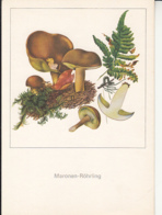 88467- MUSHROOMS, PLANTS - Mushrooms
