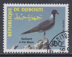 Djibouti N° 702 O  Faune : Oiseaux, Le Goéland à Iris Blanc Oblitéré TB - Djibouti (1977-...)