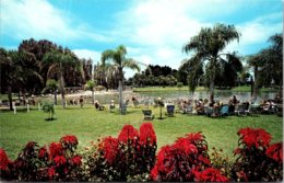 Florida Venice Warm Mineral Springs - Venice