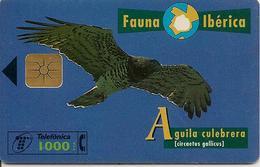 CARTE-PUCE-ESPAGNE-AIGLE-AGUILA CULEBREBA-TBE- - Águilas & Aves De Presa