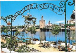Delcampe - ESPAGNE - SéVILLA - Torre Del Oro.....non écrite... - Sevilla