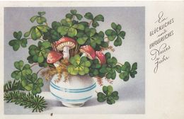 Vase W Mushroom Mushrooms & Clover New Year Old Postcard - Mushrooms