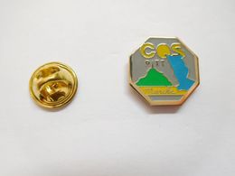 Delcampe - Beau Pin's , La Poste , COS Manche , Le Mont Saint Michel - Poste