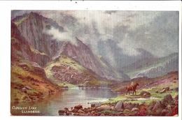 CPA-Carte Postale-Royaume Uni-Llanberis--Clogwyn Lake  VM18341 - Caernarvonshire