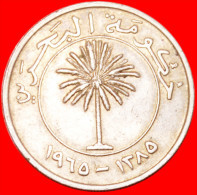 ·​​​​​​​​​​​​​​ PALM★ BAHRAIN★ 100 FILS 1965! LOW START ★ NO RESERVE! - Bahrain