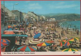 Las Palmas De Gran Canaria. Playa De Las Canteras. Non Viaggiata - La Palma