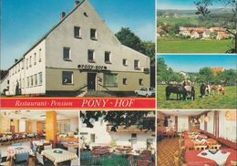 D-92690 Pressath - Zintlhammer - Restaurant Pension - Pony-Hof - Nice Stamp - Neustadt Waldnaab