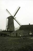 BERGHEM Bij Oss (N.Br.) - Molen/moulin - Verdwenen Molen 'De Anna' Ca. 1965 Voor De Brand. (Romp Bestaat Nog) - Oss