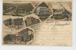 ALLEMAGNE - Gruss Aus SCHLANGENBAD (Carte Postée En 1897 ) - Schlangenbad