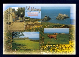 UNITED KINGDOM, Alderney / Postcard Not Circulated - Alderney