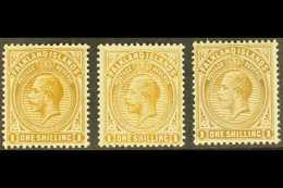 1912-20 SHILLING SHADES.  1s Light Bistre-brown, 1s Pale Bistre Brown & 1s Brown On Thick Greyish Paper All Three Listed - Falkland Islands