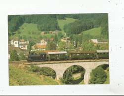 IN BAUMA DAMPFBAHN-VEREIN ZURCHER OBERLAND LOKOMOTIVE ED 3/4 (BAUJAHR 1903) - Bauma